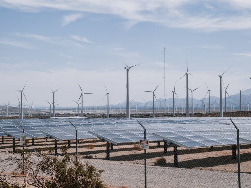 Solar panels and wind turbines